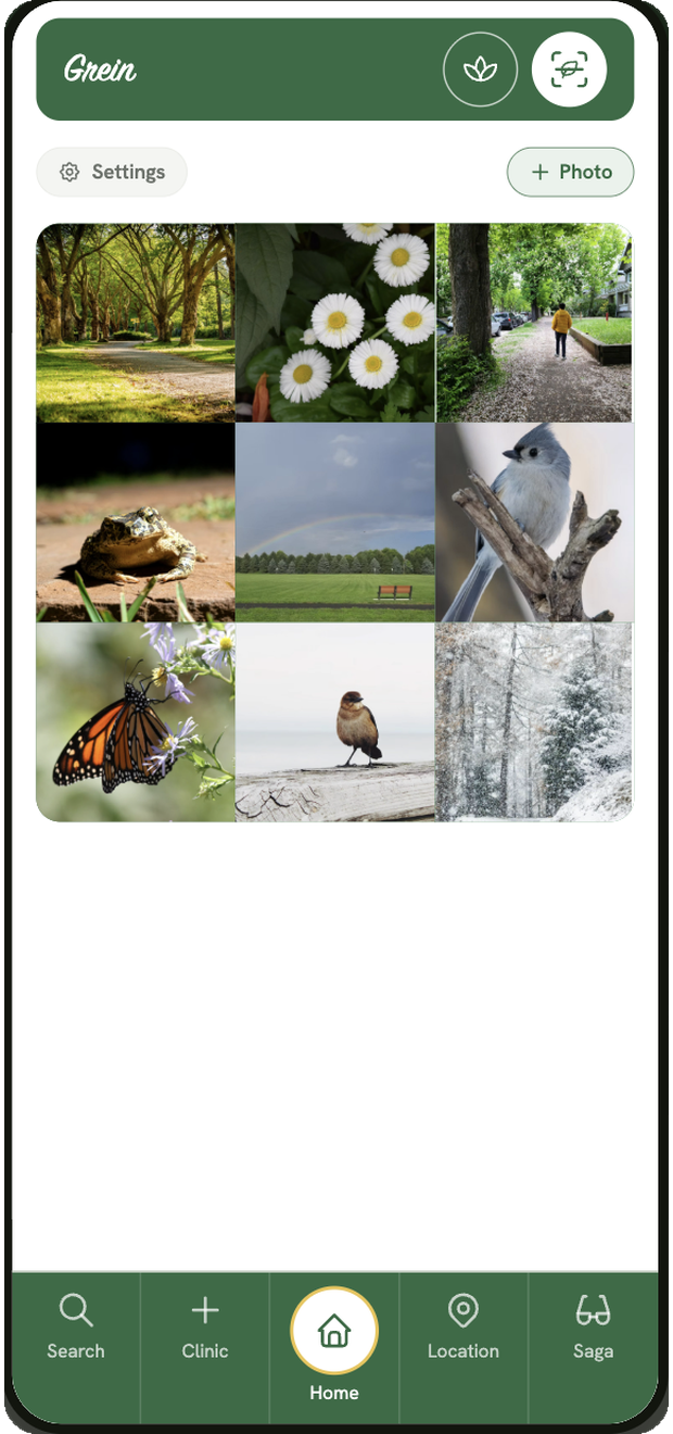 Grein home screen for a naturalist — a photo grid of birds and insects