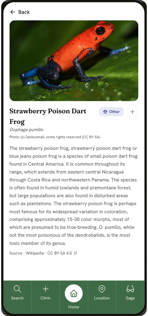 Grein encyclopedia result screen for a searched species, with highlights and a synopsis